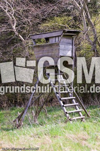 Hochstände (83 von 154).jpg